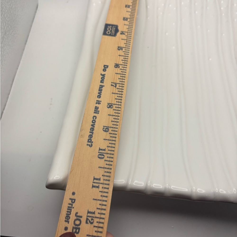 White Asparagus Ceramic Tray/Plate - Picture 6 of 10